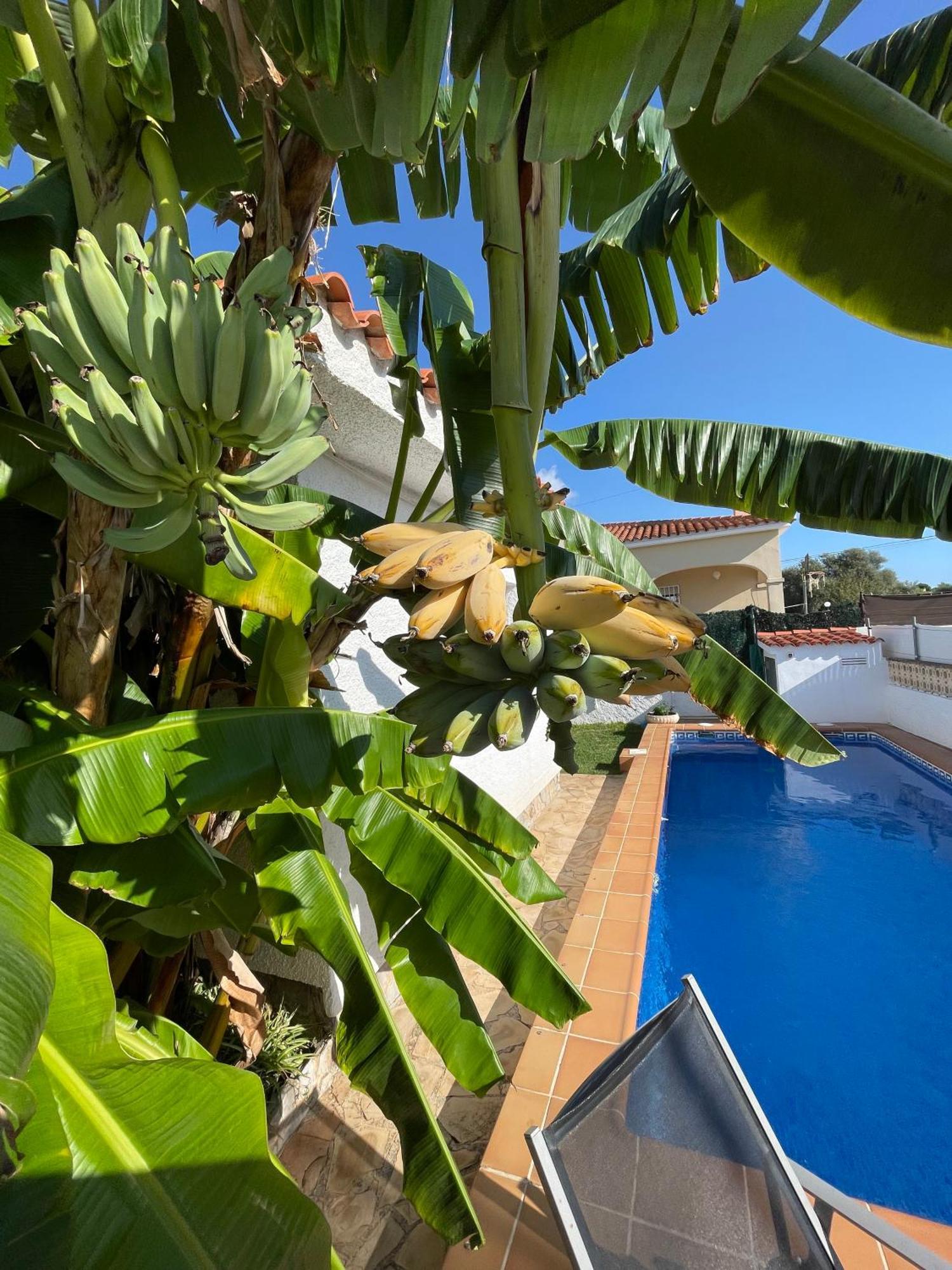Villa Juani Vinarós エクステリア 写真